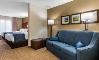 Comfort Suites Niceville Near Eglin Air Force Base