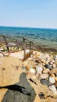 Cozy cabin on Little McDonald with amazing walk out beach! - Chalets