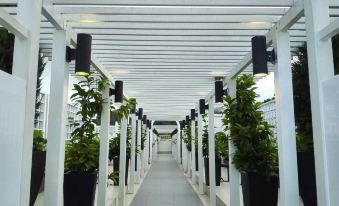 Misty Forest II - 9 Pax Next to Night Market