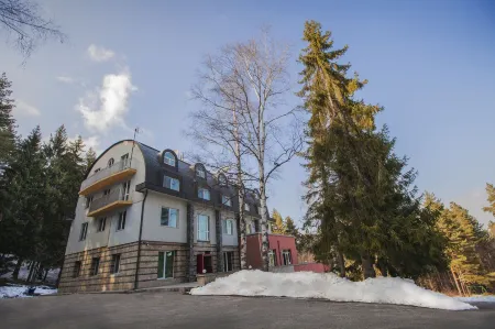 Family Hotel Saint George Отели в г. София