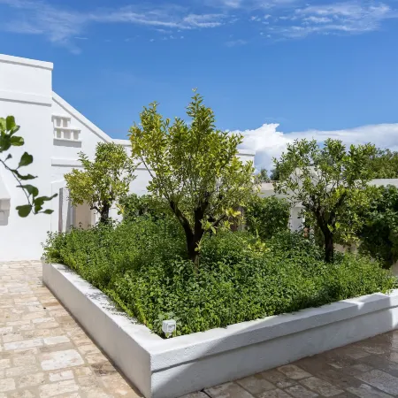 Masseria Stefanodelconte
