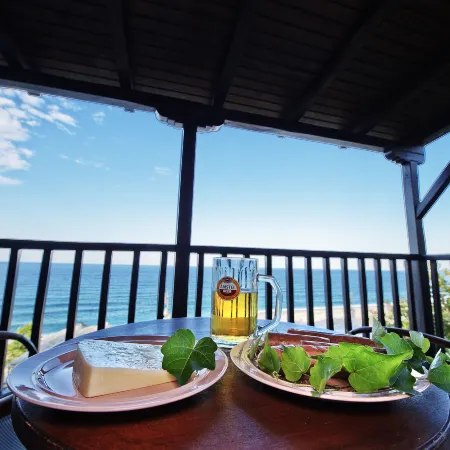 Flamingo Hotel Pelion - Seaside Superior Studios & Suites