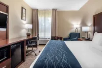 Comfort Inn & Suites Junction City - Near Fort Riley - Parking