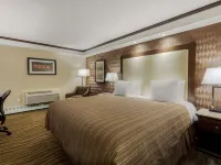 Best Western Premier Denham Inn  Suites Hotele w: Leduc