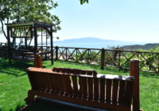 Assos Assinos