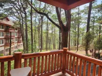 John Hay Hotels Forest Wing (formerly The Forest Lodge at Camp John Hay) - Scenic