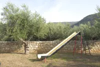 Liodentra