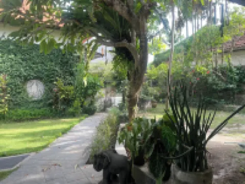 Graha Madesimon Hotel berhampiran Bali Charmante