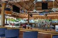 Holiday Inn KEY LARGO by IHG - bar