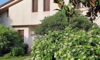 B&B Villa Elisa