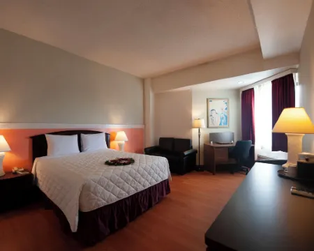 グランド プラザ ホテル タムニンのホテル