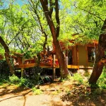Carolina Leone Hotels in 