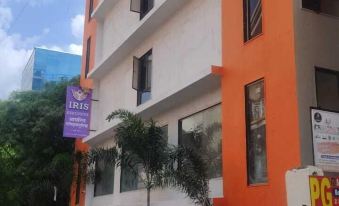 Treebo Iris Executive