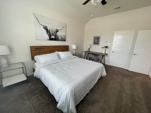 Home Away From Home- While Away II Hotels in Little Elm