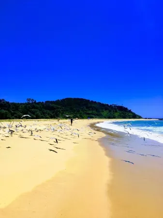 Cosy mud brick  cottage in a serene bush setting, near Tathra. Отели в г. Танджа