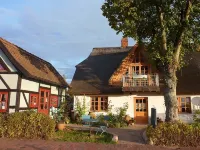 Lovingly furnished artist's apartment with a view of the bay