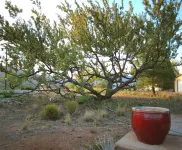 Spectacular views of Clarkdale