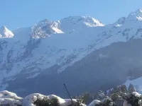 4-star apartment in a magnificent Savoyard chalet - 50 m from the slopes