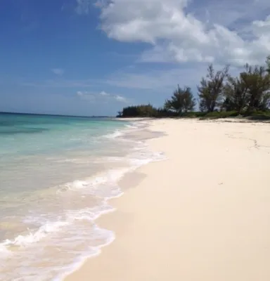 Adorable Remodeled Cottage-Ocean Front on Coco Bay-25% Fall Discount! Hotels in Green Turtle Cay