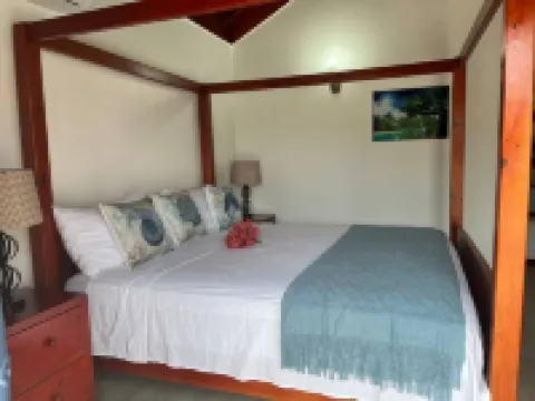 Hidden Treasure, Ocean View Villa w/ private pool. Hotels in Treasure Beach