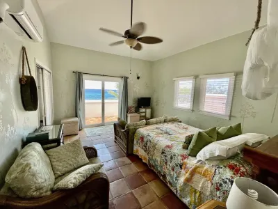 Private Gated Ocean Front Villa Pool&Tide Pool Cane Bay Beach Wifi Wedding Venue Hotels in 