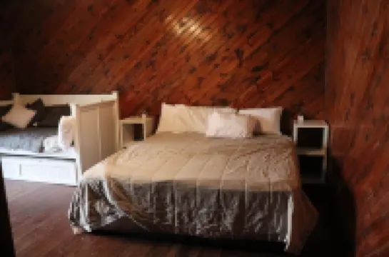 Large 4BR Buffalo Mountain Retreat in Williamson with pool,  Ride to trails