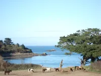 lezardrieux appart. 4/5 people seaside + garden Hotel a Lezardrieux