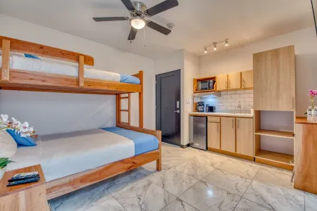 2Bed/1Bath Apartment with Patio in San Jose Center!