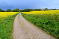 Idyllic apartment 10 minutes to the beach 巴爾克爾斯比住宿飯店