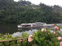 Casa de Gondomil for 4 people Hotels in Cinfaes