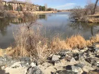 Executive Suite 1 Bedroom