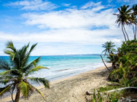 Casa Del Mar Beachfront House on quiet beach, surf out front, tidepools for kids Hotels in Aguada