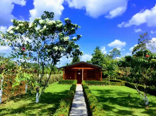 Near La Fortuna, Cabin with Volcano View