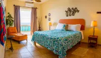 Villa Isabella - Oceanfront - 10 guests - pet friendly - at Stella, Rincón
