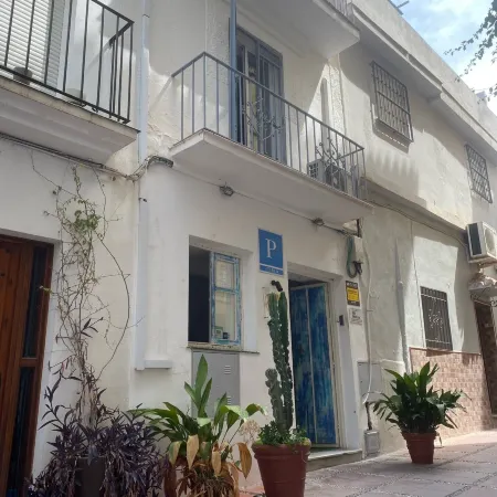 Hostal the Monkey Room