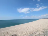 Sea Gem
