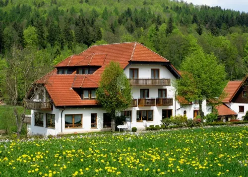 Rhön-Hotel Sonnenhof - Restaurant & Café Hotels in Герсфельд