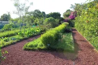 El Arca Jardín Botánico y Restaurante Hotels in Birri