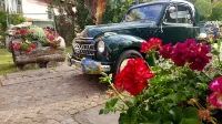 Historic Hotel Ristorante La Stua