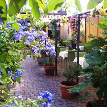 Albergo Natucci Hotel Exterior