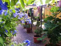 Albergo Natucci Hotels in Province of Pistoia