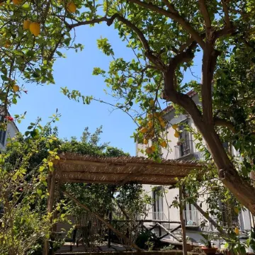 Annygio House - De Vivo Realty