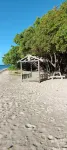 CoCo Rose Guesthouse Hotels in Jolly Harbour