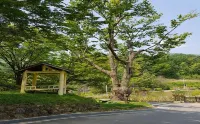 Danyang Picnic Day Pension