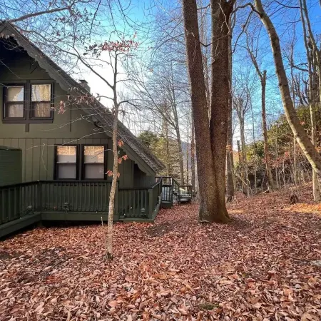 4 min Beech Mtn. Gem: Cabin Retreat near Slopes & Trails Pet friendly