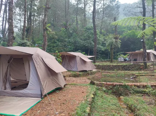 TATANGGI CAMP - 17 DEGREES CELCIUS Các khách sạn ở Sukamakmur