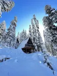 A house in the forest, if you want to relax in the forest and be alone. hot tub Hotels in Bakhmaro