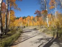 Cozy Guest Cabin by Henry's Lake & Near Yellowstone
