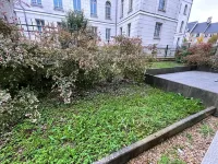 Superb apartment in downtown residence Hotels in Etampes