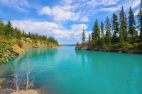 Rocky Mountain Retreat: Private 2 Acres & Hot Tub